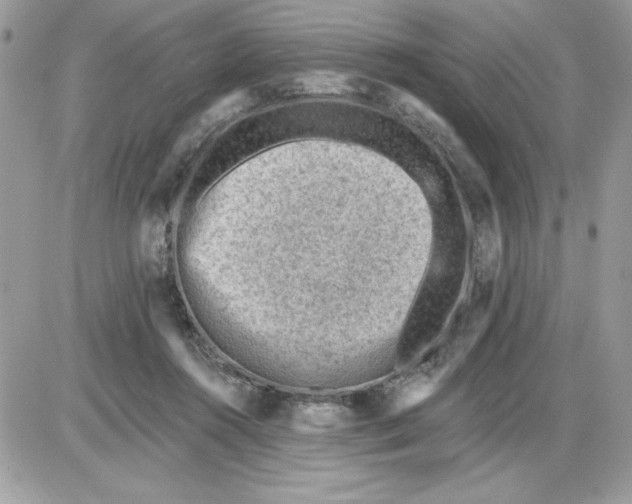 X0000085800360200704131927