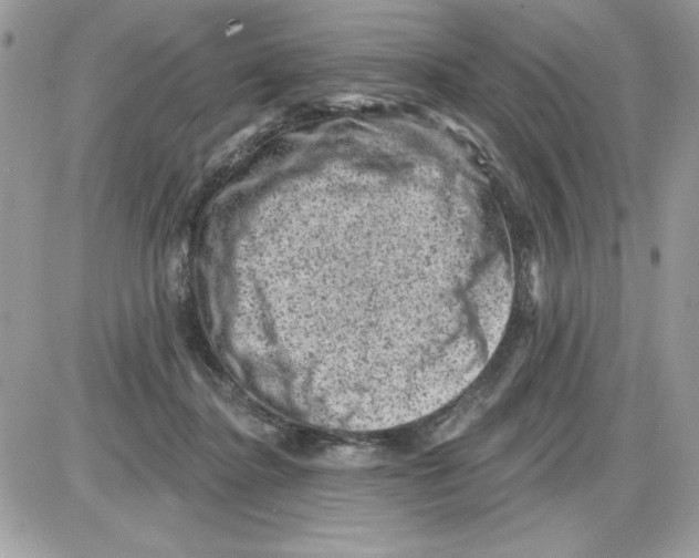 X0000085800364200704131927