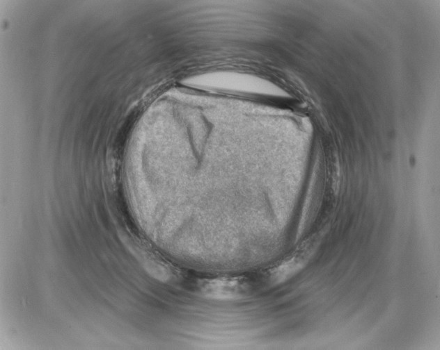 X0000085800366200704131927