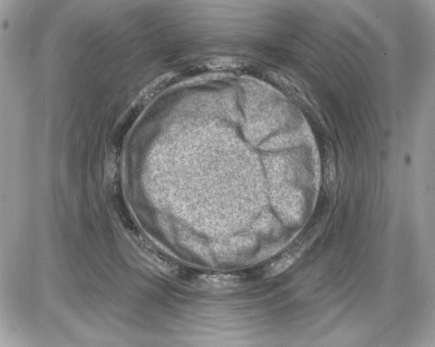 X0000085800367200704131927