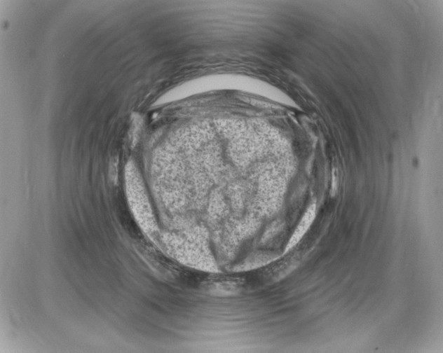 X0000085800368200704131927