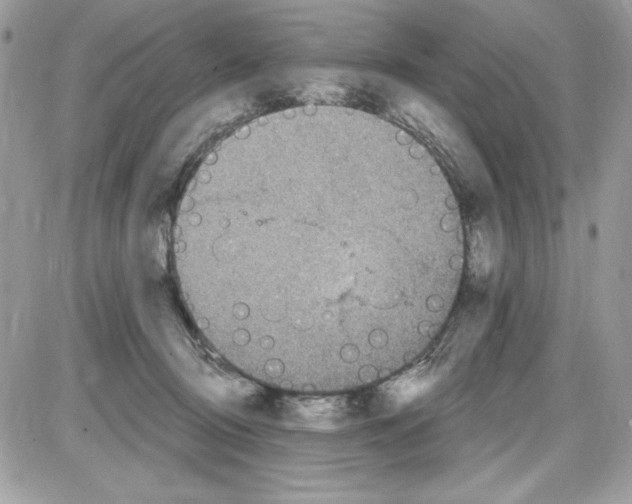 X0000085800370200704131927