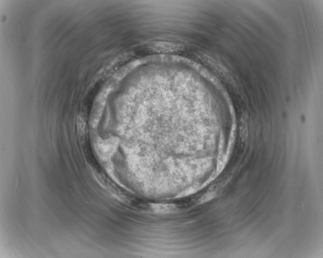 X0000085800371200704131927