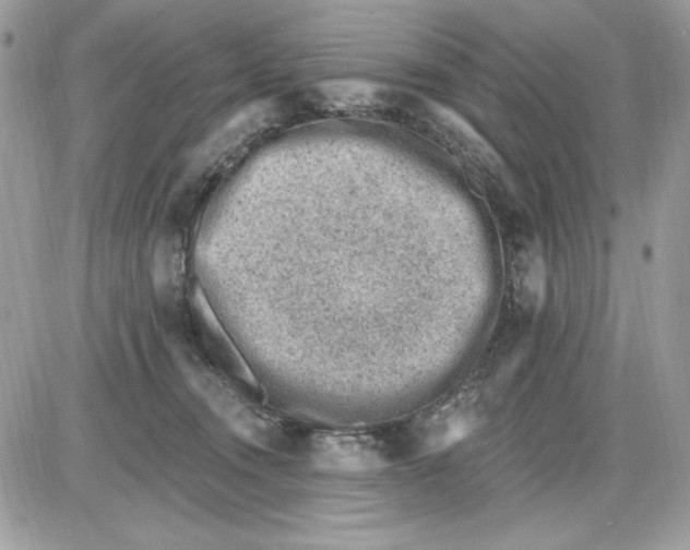 X0000085800372200704131927