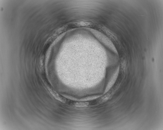 X0000085800373200704131927