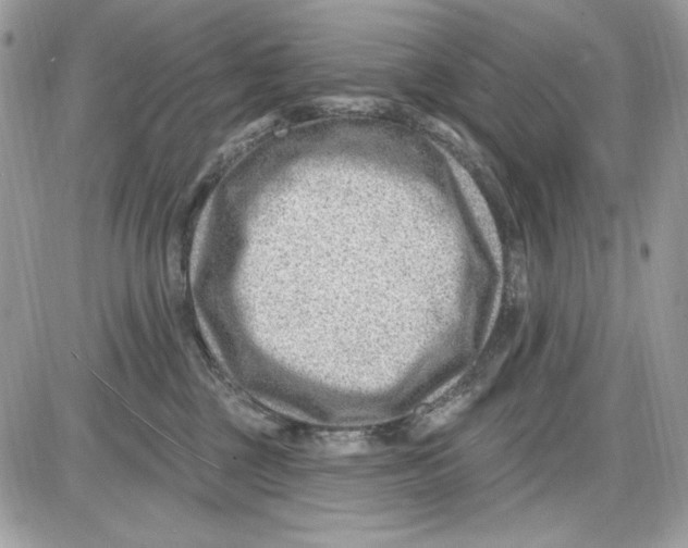 X0000085800377200704131927