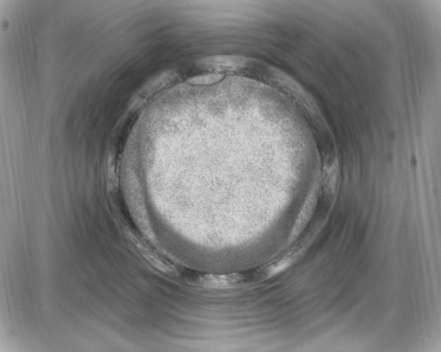 X0000085800381200704131927