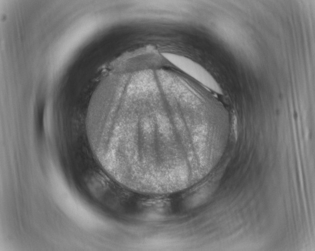 X0000085800383200704131927