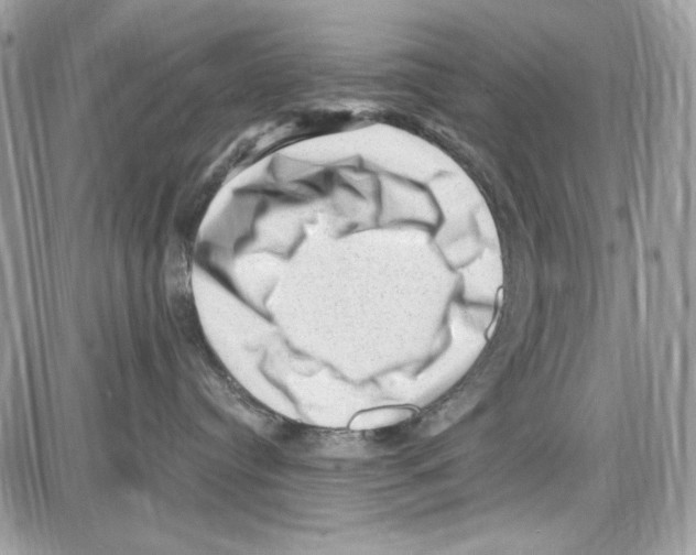 X0000085800384200704131927