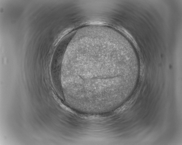 X0000085800385200704131926