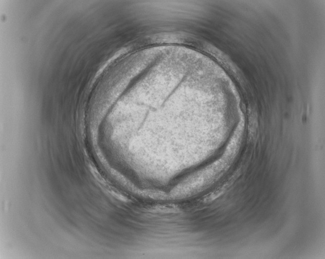 X0000085800386200704131926