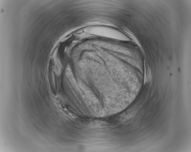 X0000085800387200704131926