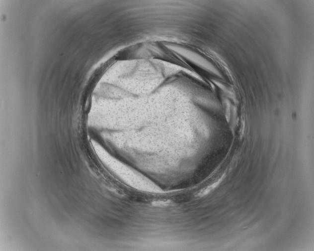 X0000085800388200704131926