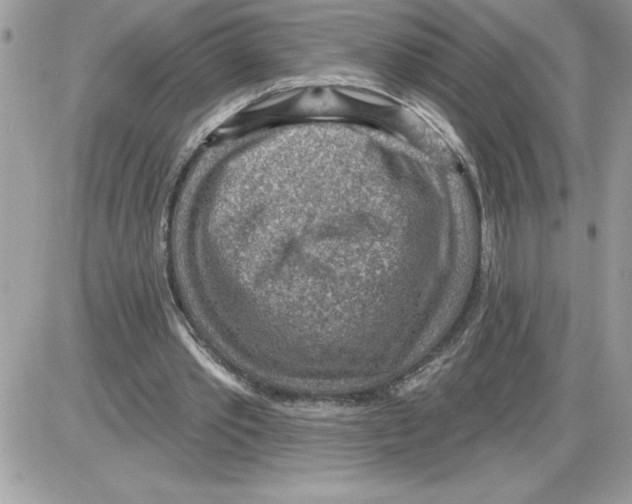 X0000085800389200704131926