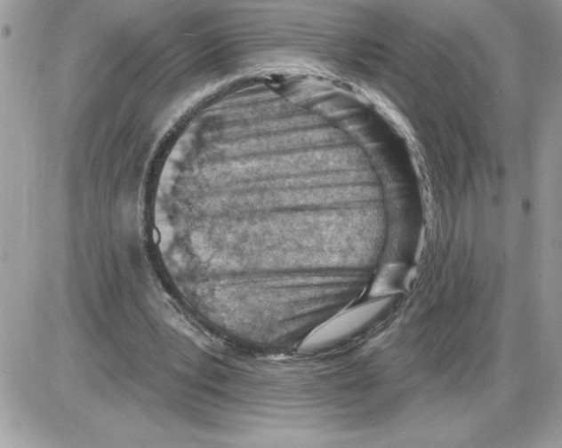 X0000085800391200704131926