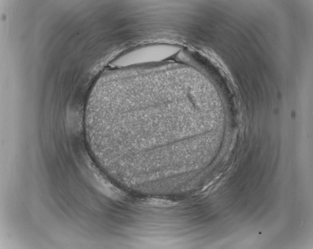 X0000085800393200704131926