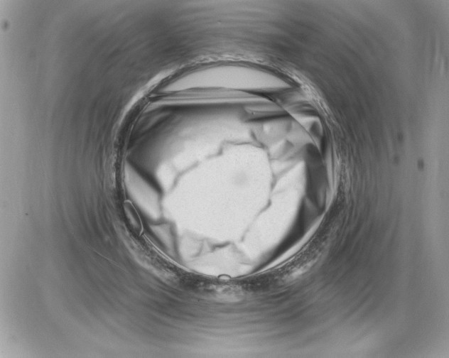 X0000085800395200704131926