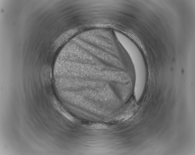 X0000085800397200704131926