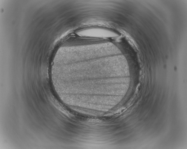 X0000085800399200704131926