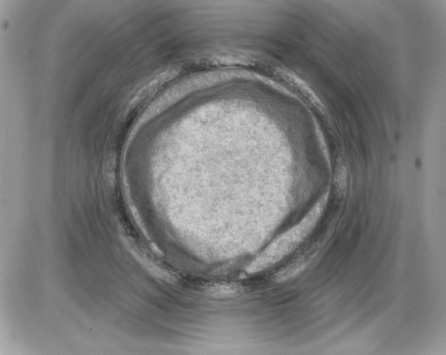 X0000085800402200704131926