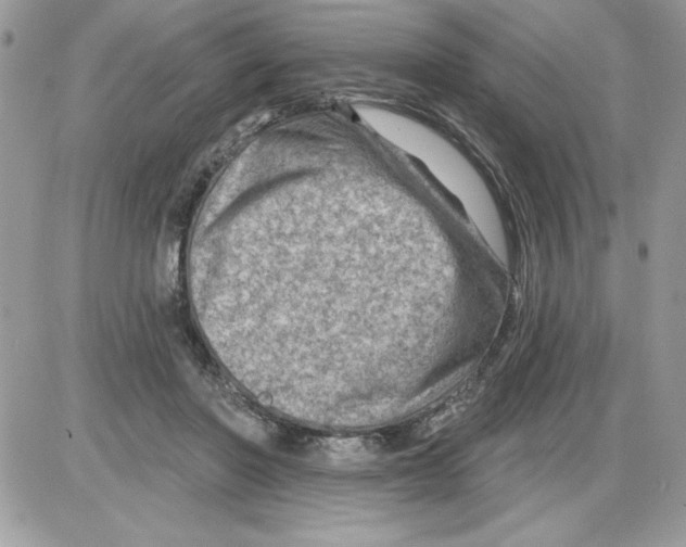 X0000085800406200704131926