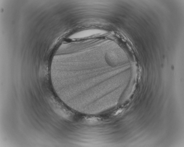 X0000085800407200704131926