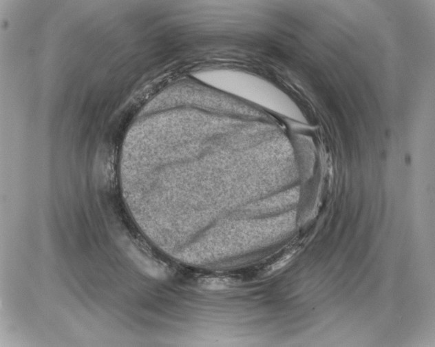 X0000085800408200704131926