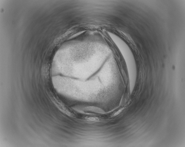 X0000085800409200704131926