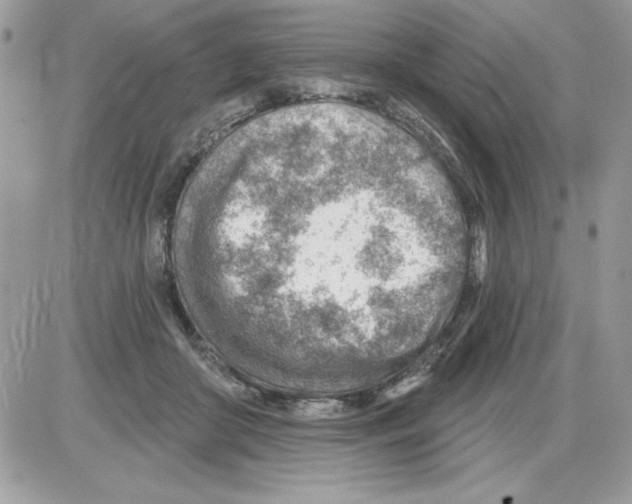 X0000085800410200704131926