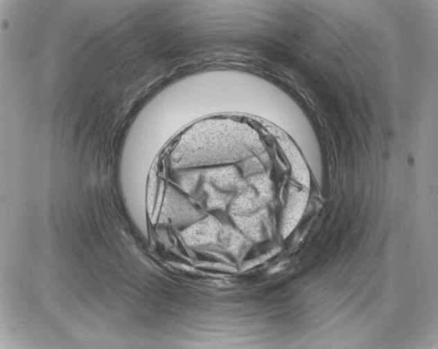 X0000085800411200704131926