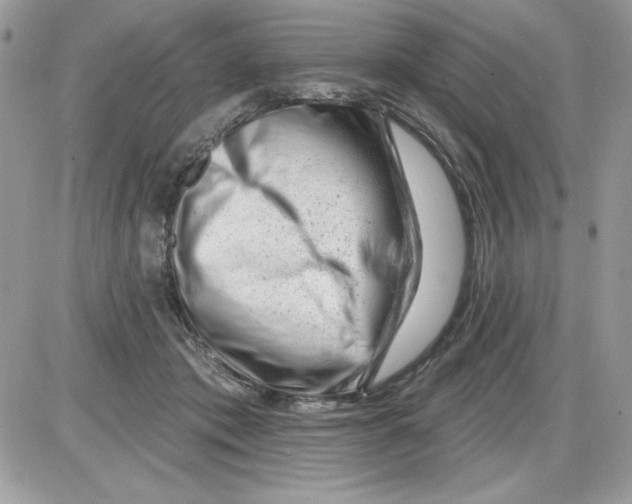 X0000085800413200704131926