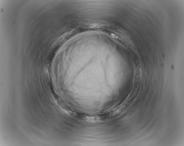 X0000085800415200704131926