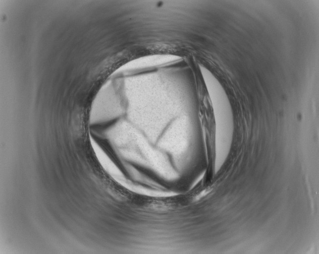 X0000085800416200704131926