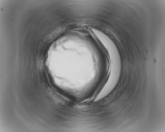 X0000085800417200704131926