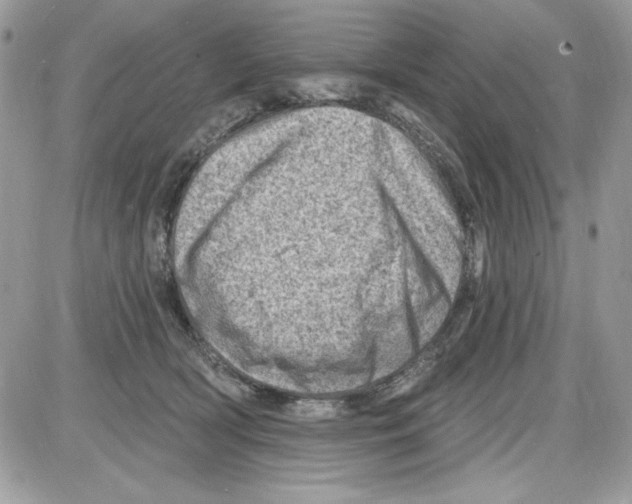 X0000085800418200704131926