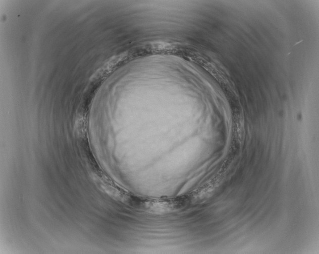 X0000085800419200704131926