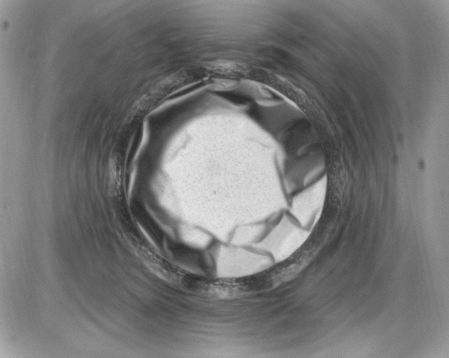 X0000085800420200704131926