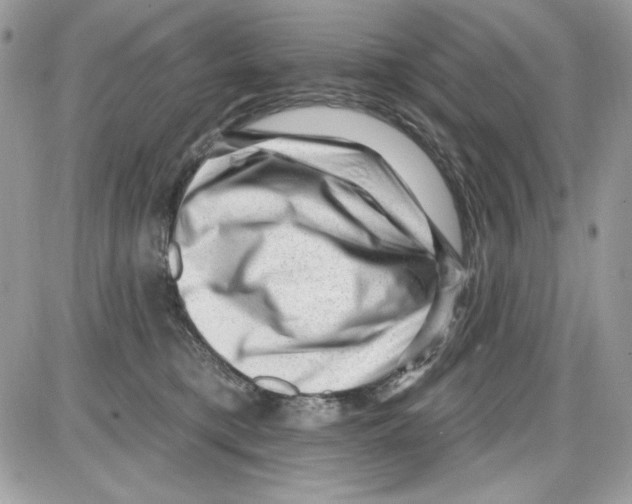 X0000085800421200704131926