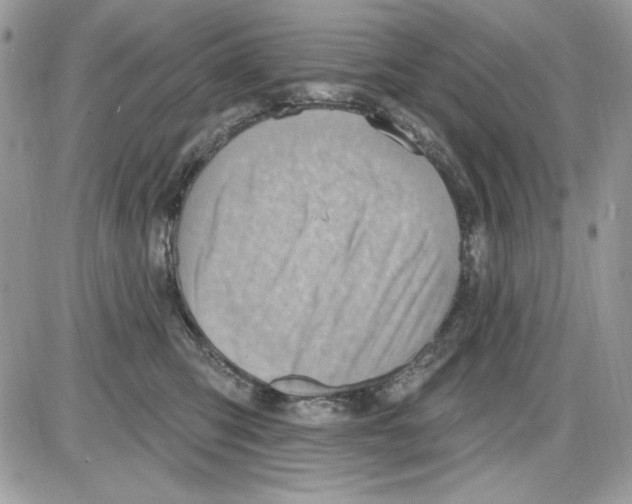 X0000085800423200704131926