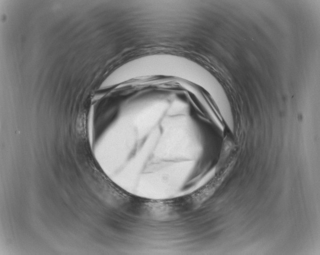 X0000085800425200704131926