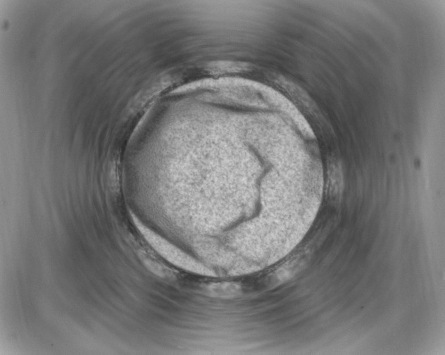 X0000085800426200704131926