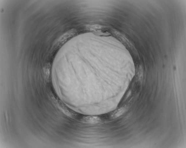 X0000085800427200704131926