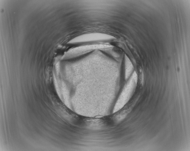 X0000085800428200704131926