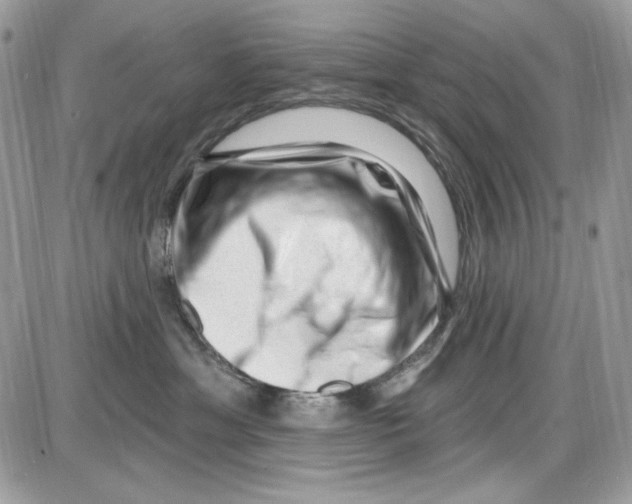 X0000085800429200704131926