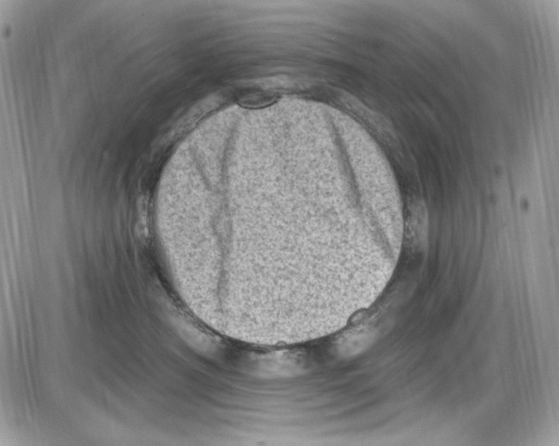 X0000085800430200704131926