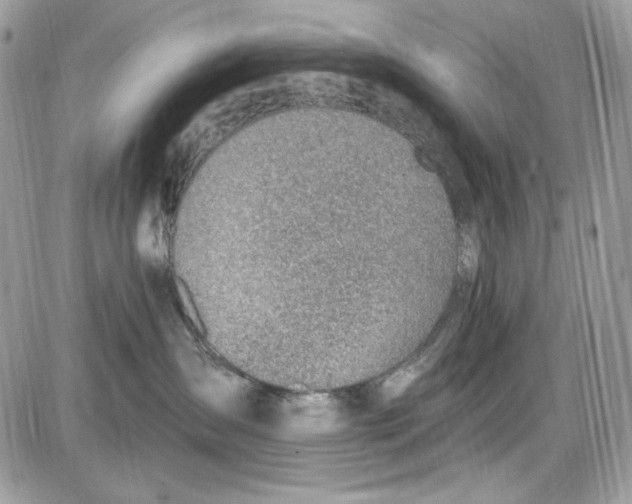 X0000085800431200704131926