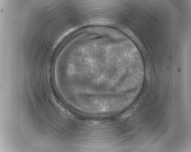 X0000085800434200704131925