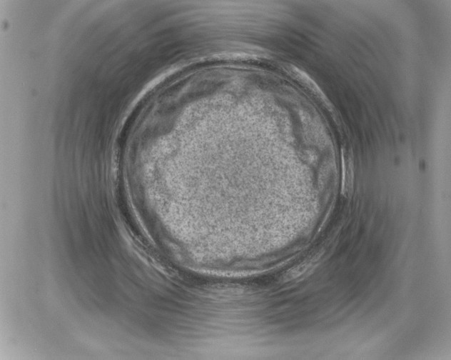 X0000085800435200704131925