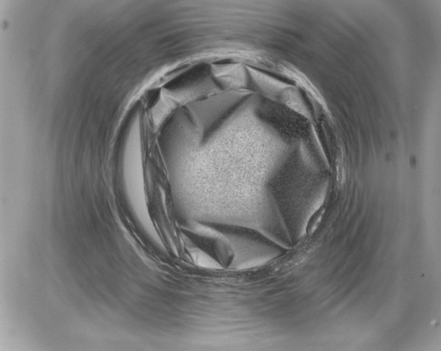 X0000085800436200704131925