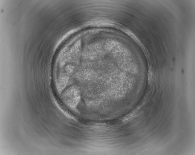 X0000085800438200704131925